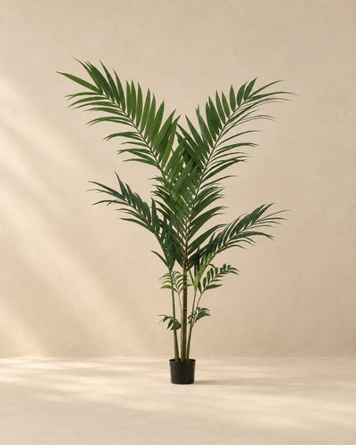 Kunstplant Kentiapalm (Howea forsteriana) van 150 cm hoog in pot van 12 cm