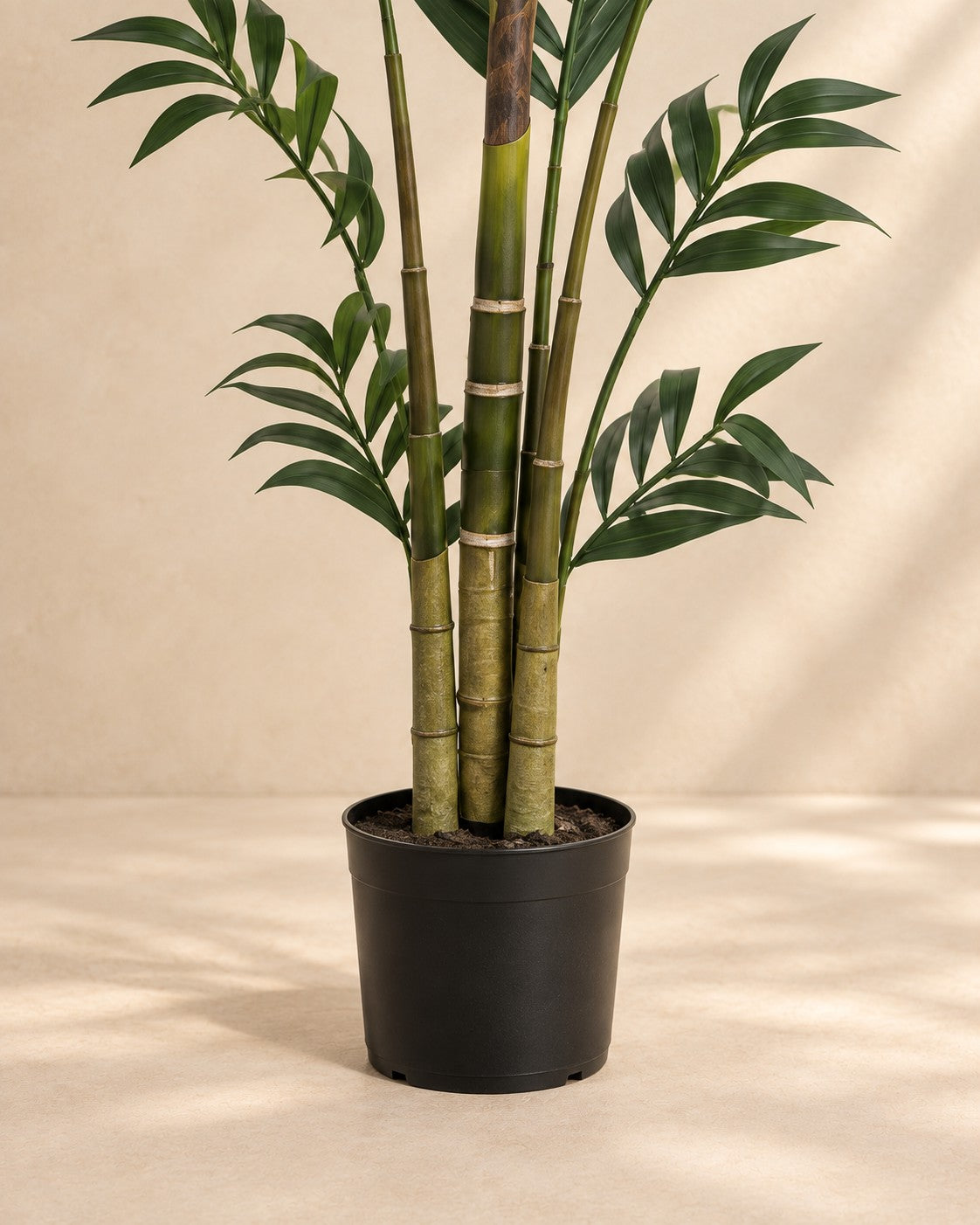 Onderste deel van de Kunstplant Kentiapalm (Howea forsteriana) met de pot