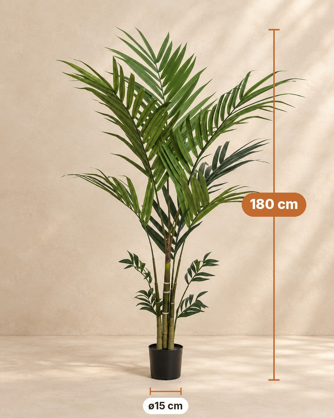 Afmetingen Kunstplant Kentiapalm: 180 cm hoog, pot ø15 cm