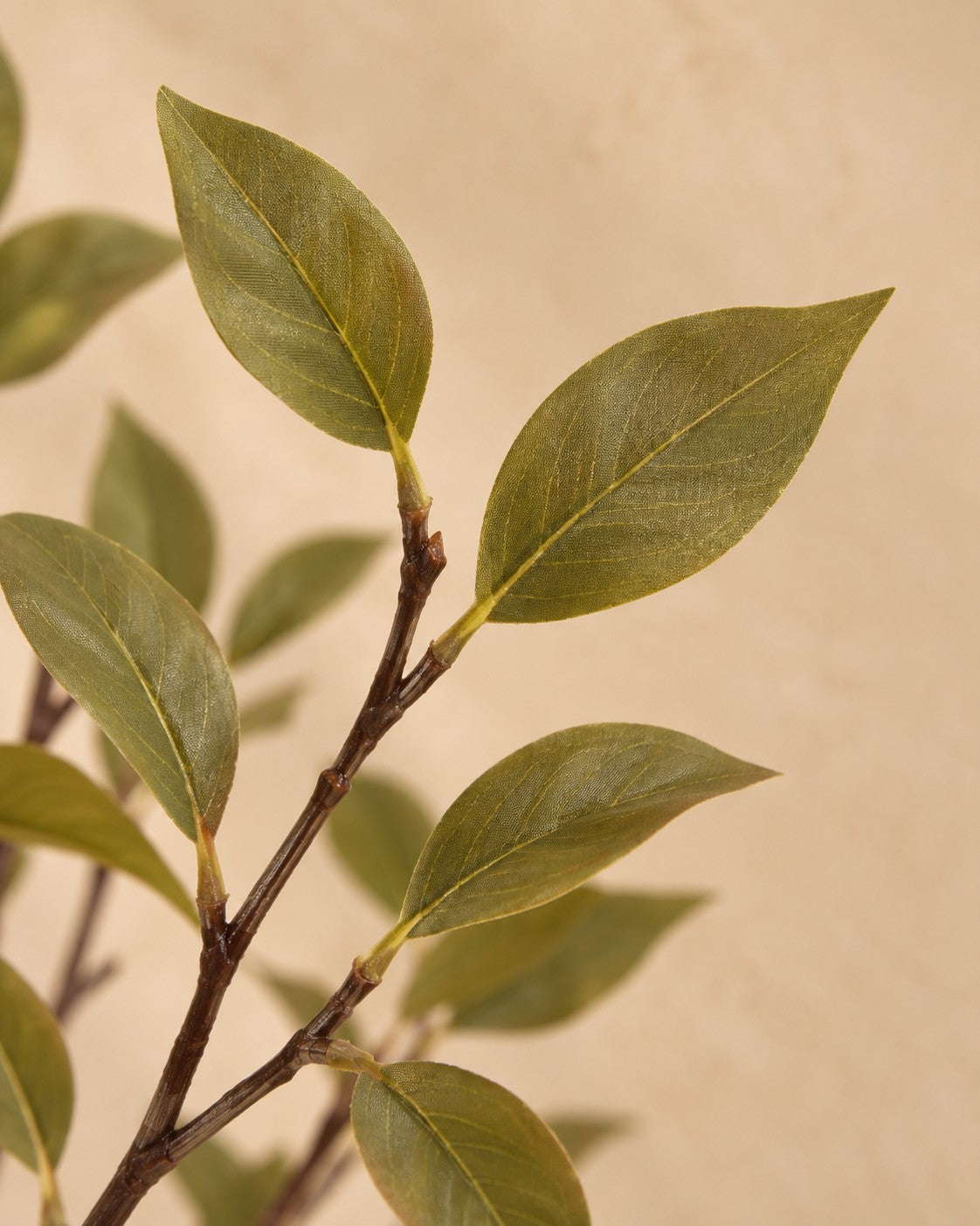 Zbliżenie liści Sztuczna roślina kwiat wiśni (Prunus sp.)