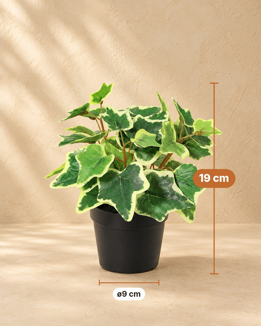 Kunstplant Klimop wit bont 19cm - ø9