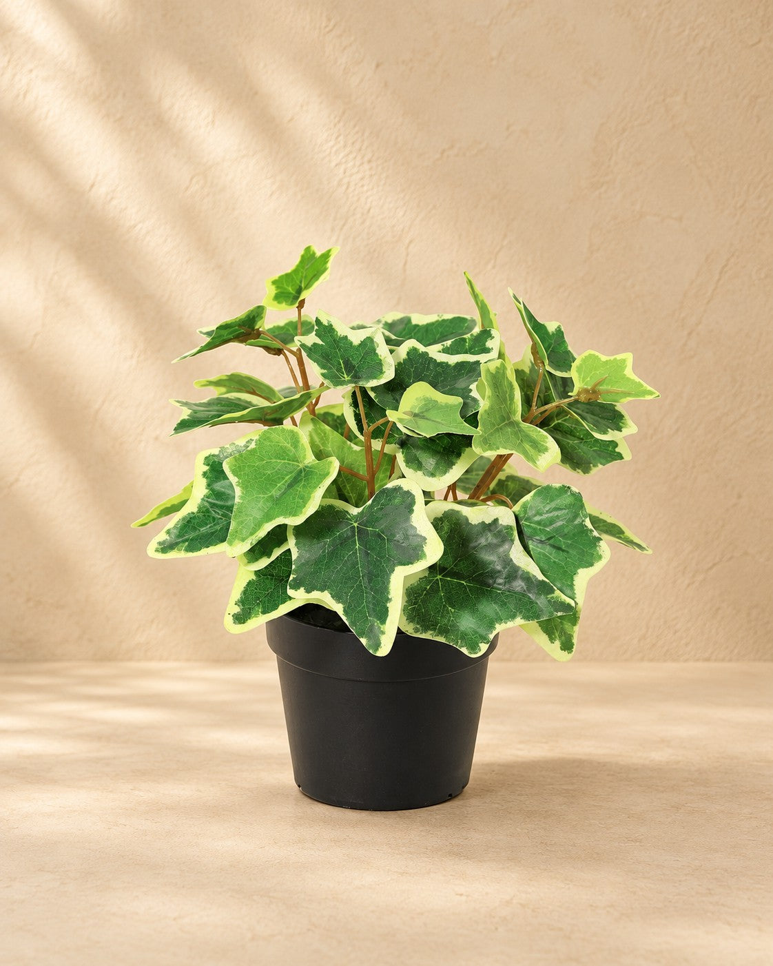 Kunstplant Klimop wit bont (Hedera helix) van 19 cm hoog in pot van 9 cm