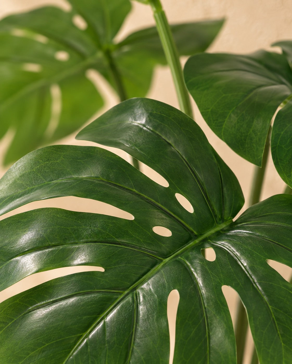 Zbliżenie liści Sztuczna roślina Monstera Deliciosa w zestawie z białą doniczką
