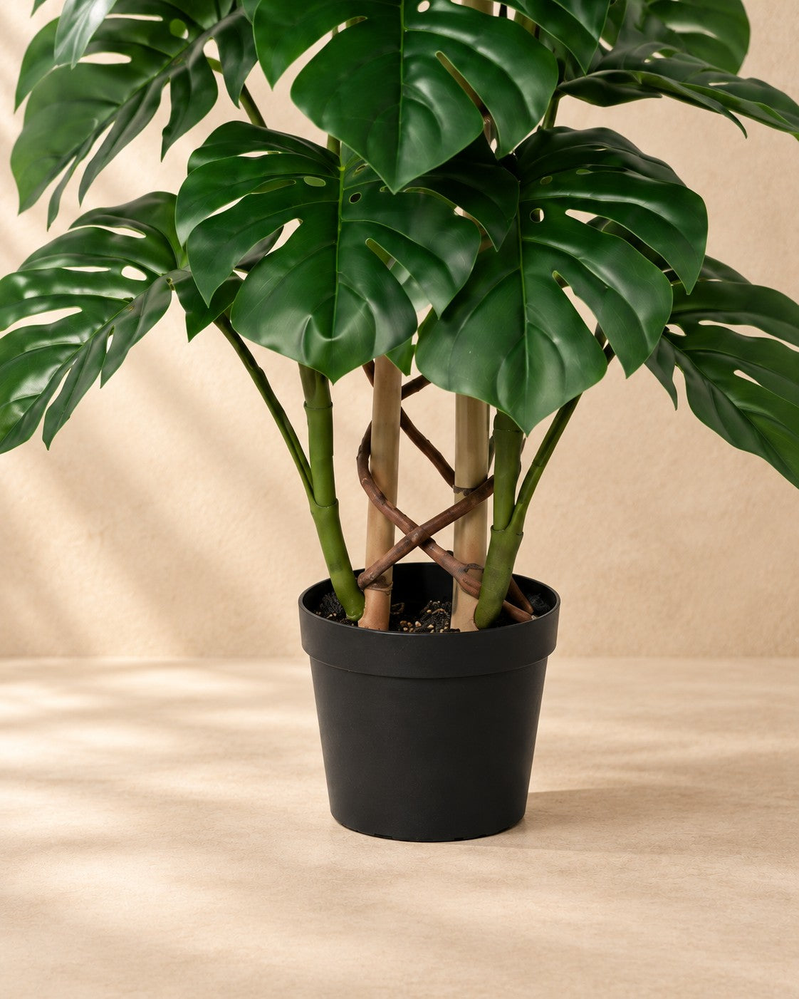 Onderste deel van de Kunstplant Monstera Monkey Leaf (Monstera adansonii) met de pot