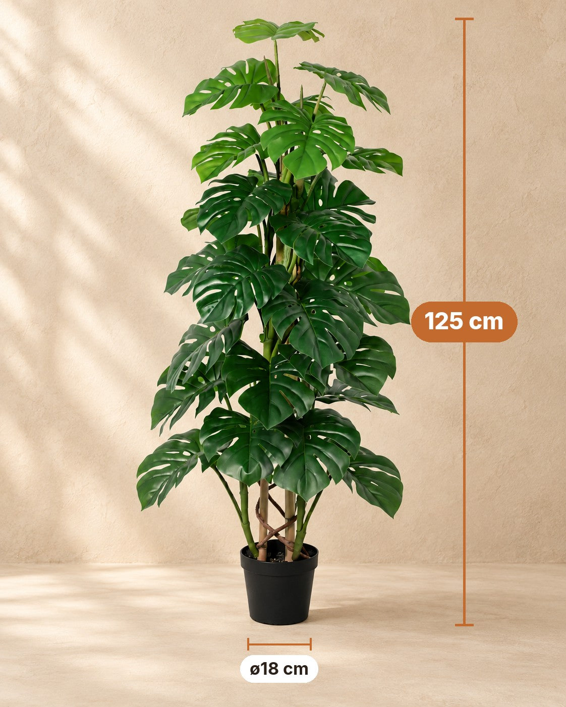 Afmetingen Kunstplant Monstera Monkey Leaf: 125 cm hoog, pot ø18 cm