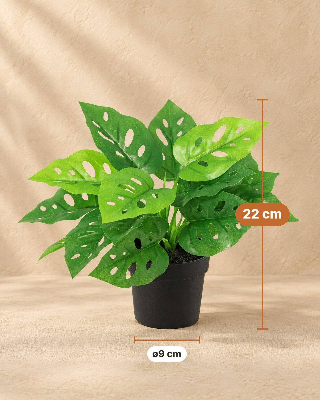 Afmetingen Kunstplant Monstera Monkey Leaf: 22 cm hoog, pot ø9 cm