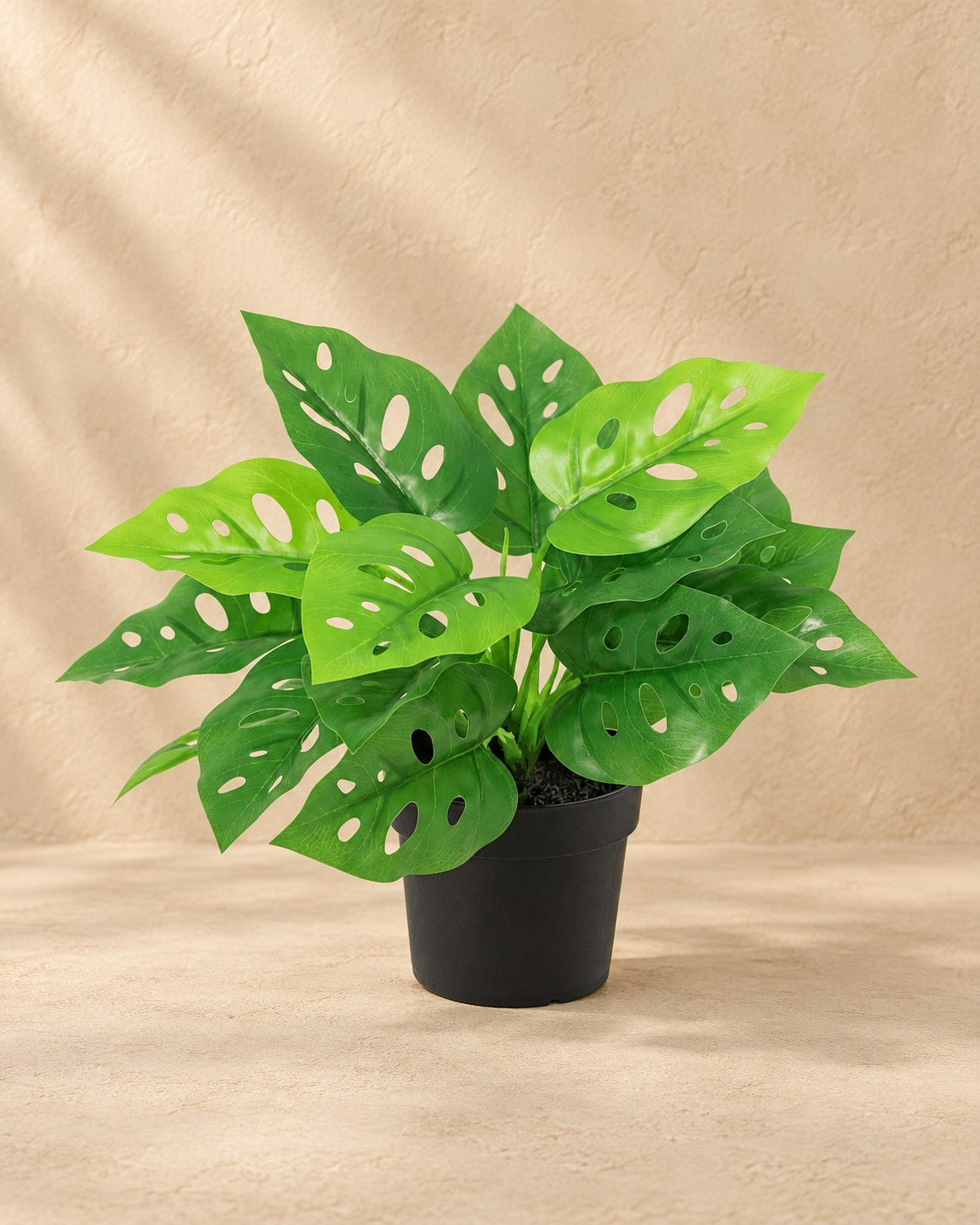 Sztuczna roślina Monstera Monkey Leaf (Monstera adansonii), wysokość 22 cm, w doniczce 9 cm