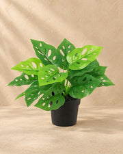 Kunstplant Monstera Monkey Leaf (Monstera adansonii) van 22 cm hoog in pot van 9 cm