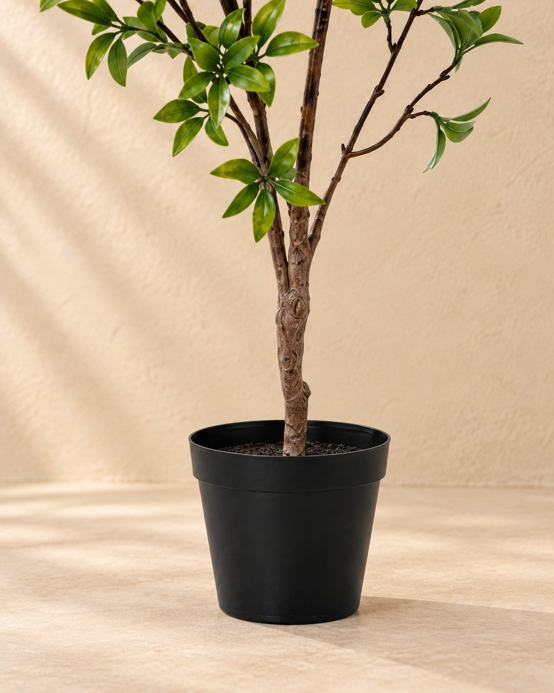 Onderste deel van de Kunstplant Myrtus (Myrtus communis) met de pot