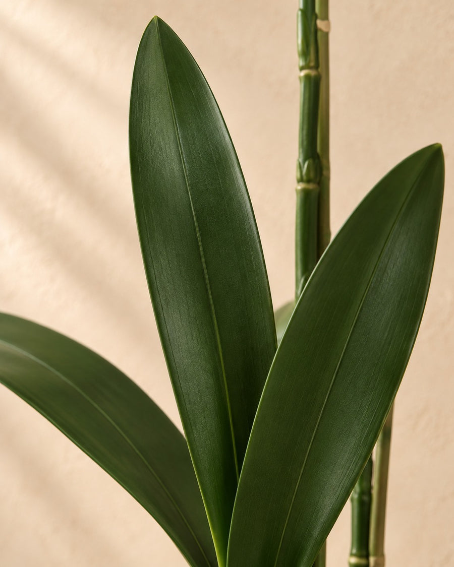 Artificial plant Phalaenopsis orchid including pot 71 cm - ø17