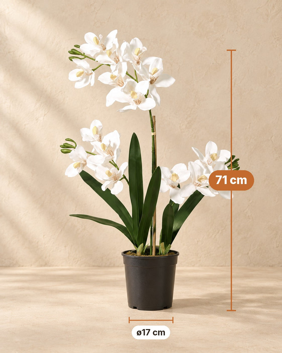 Artificial plant Phalaenopsis orchid including pot 71 cm - ø17