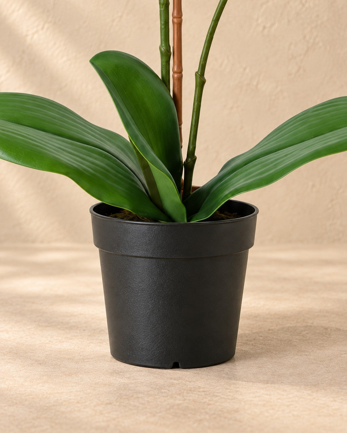 Onderste deel van de Kunstplant Phalaenopsis Orchidee oranje (Phalaenopsis sp.) met de pot
