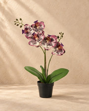 Kunstplant Phalaenopsis Orchidee paars (Phalaenopsis sp.) van 41 cm hoog in pot van 9 cm