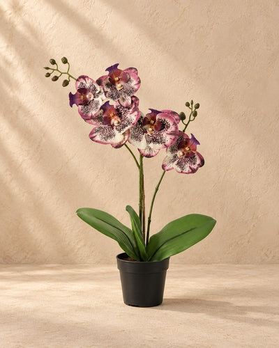 Kunstplant Phalaenopsis Orchidee paars (Phalaenopsis sp.) van 41 cm hoog in pot van 9 cm