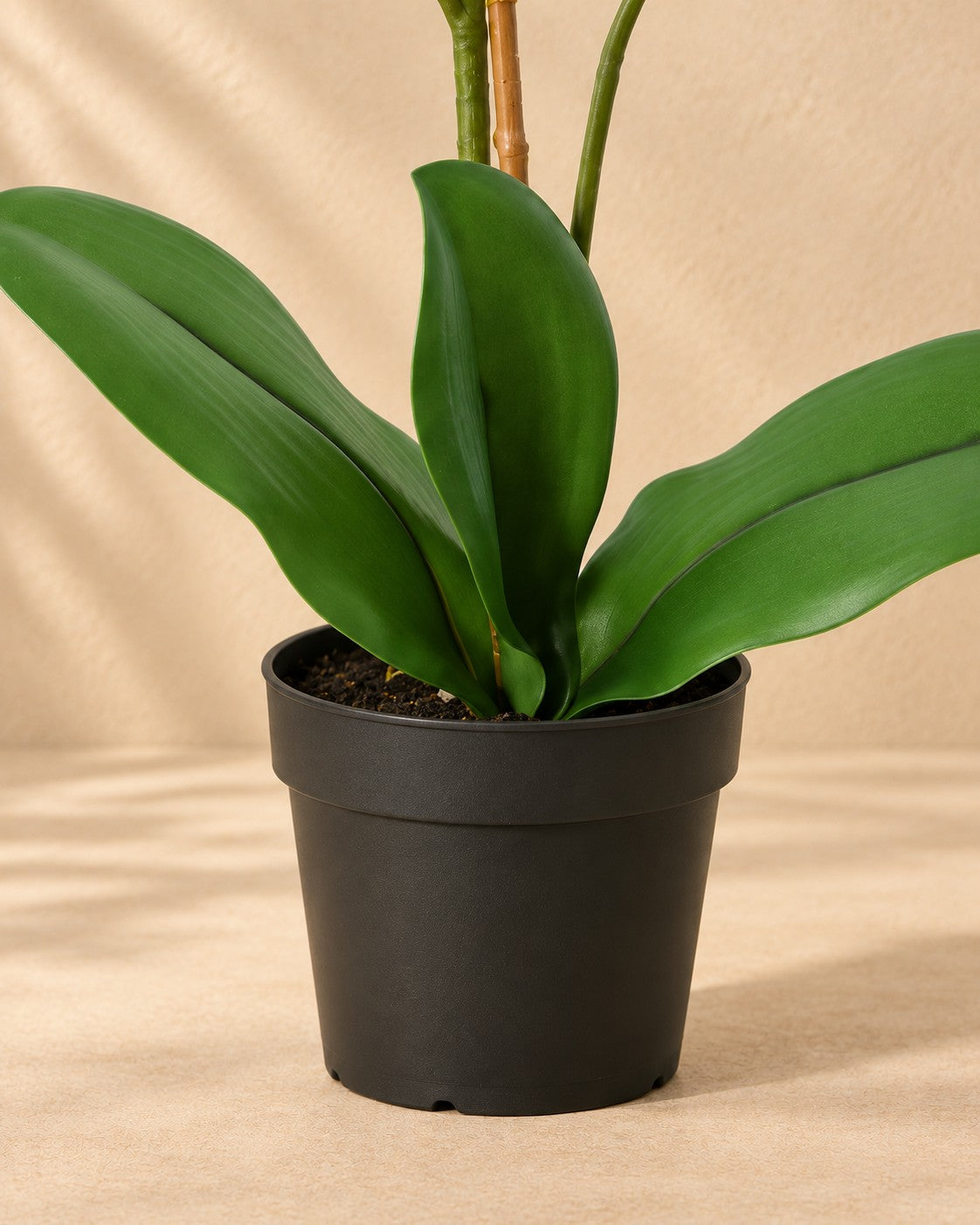 Lower part of the Artificial plant Phalaenopsis Orchidee purple white (Phalaenopsis sp.) with its pot