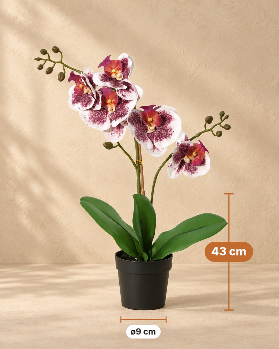 Artificial plant Phalaenopsis Orchidee purple white 43cm - ø9