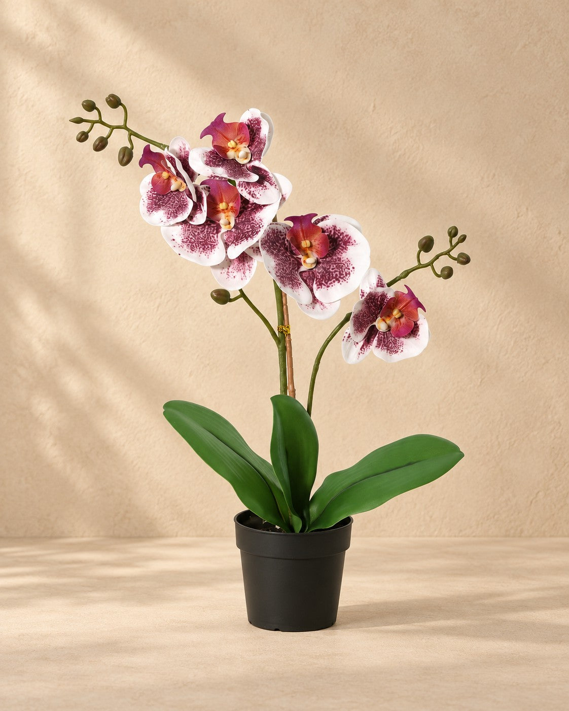 Sztuczna roślina Phalaenopsis Orchidea fioletowo-biała (Phalaenopsis sp.), wysokość 43 cm, w doniczce 9 cm
