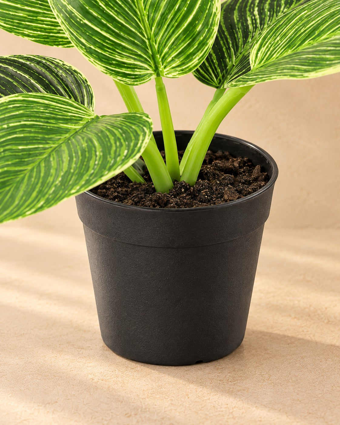 Onderste deel van de Kunstplant Philodendron Birkin (Philodendron 'Birkin') met de pot