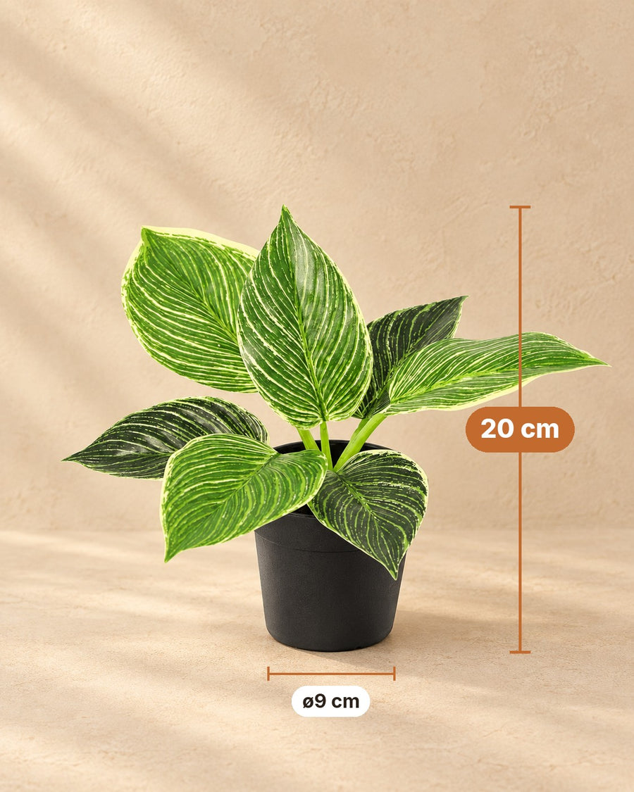 Kunstplant Philodendron Birkin 20cm - ø9