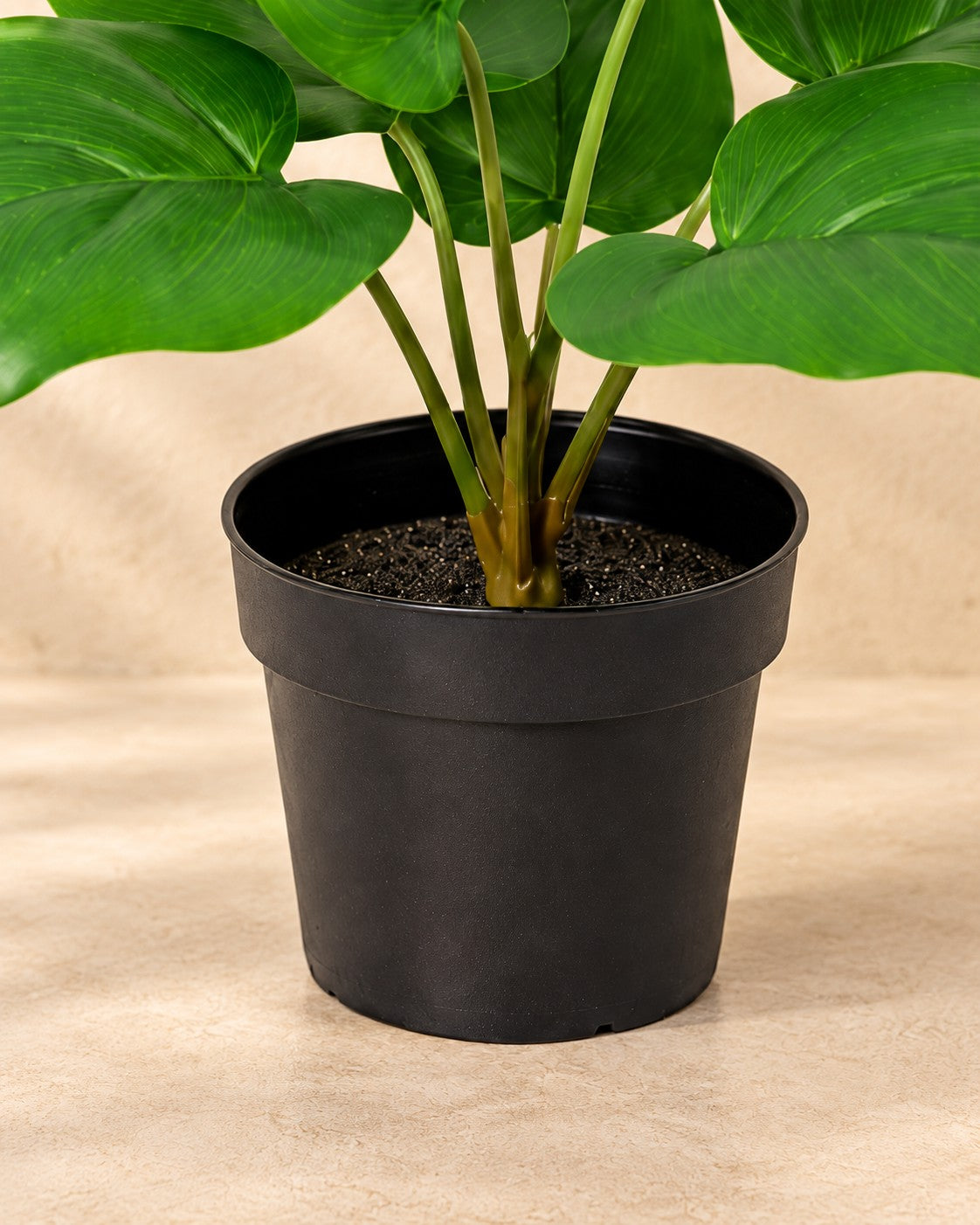 Onderste deel van de Kunstplant Philodendron Imperial Green (Philodendron 'Imperial Green') met de pot