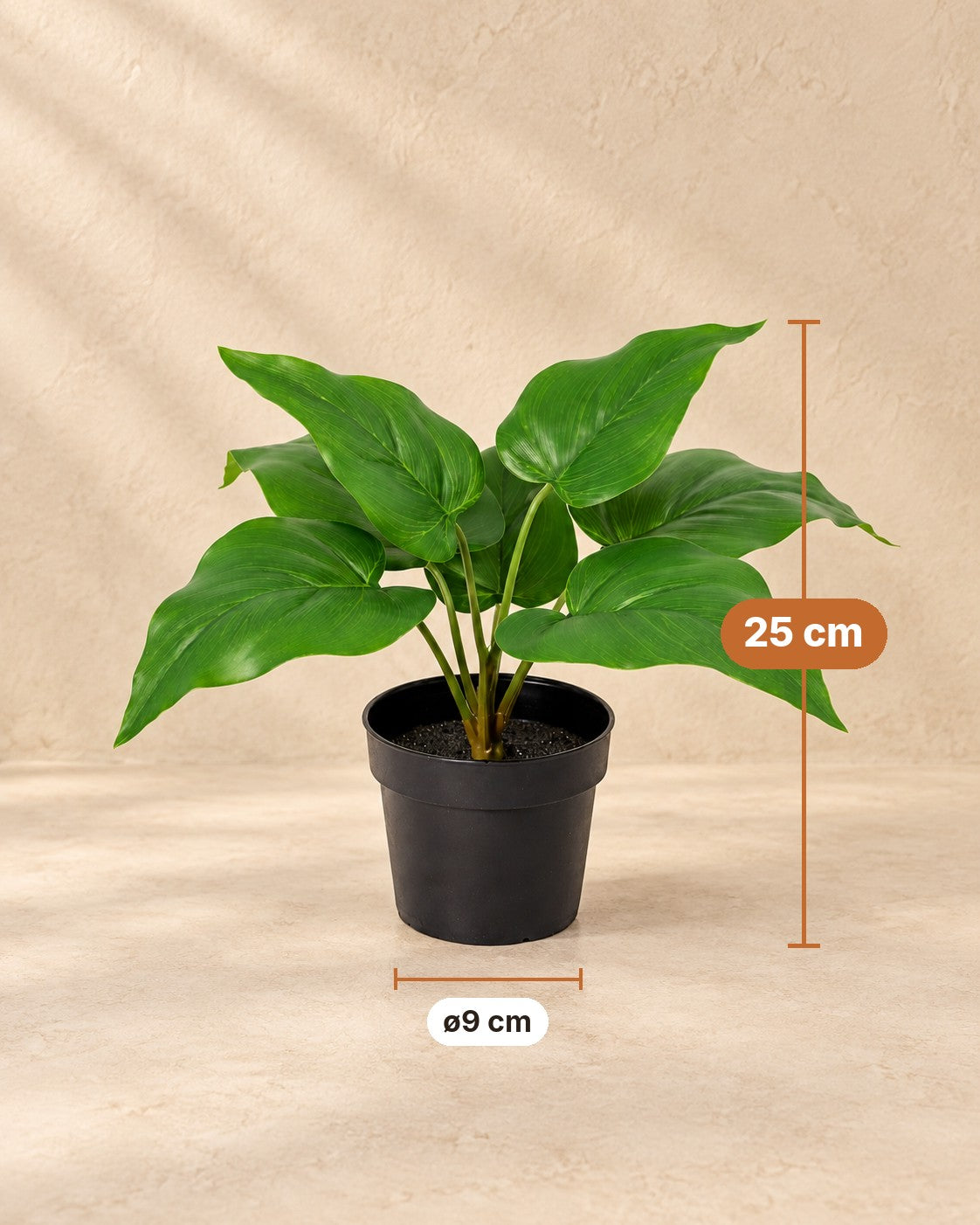 Afmetingen Kunstplant Philodendron Imperial Green: 25 cm hoog, pot ø9 cm