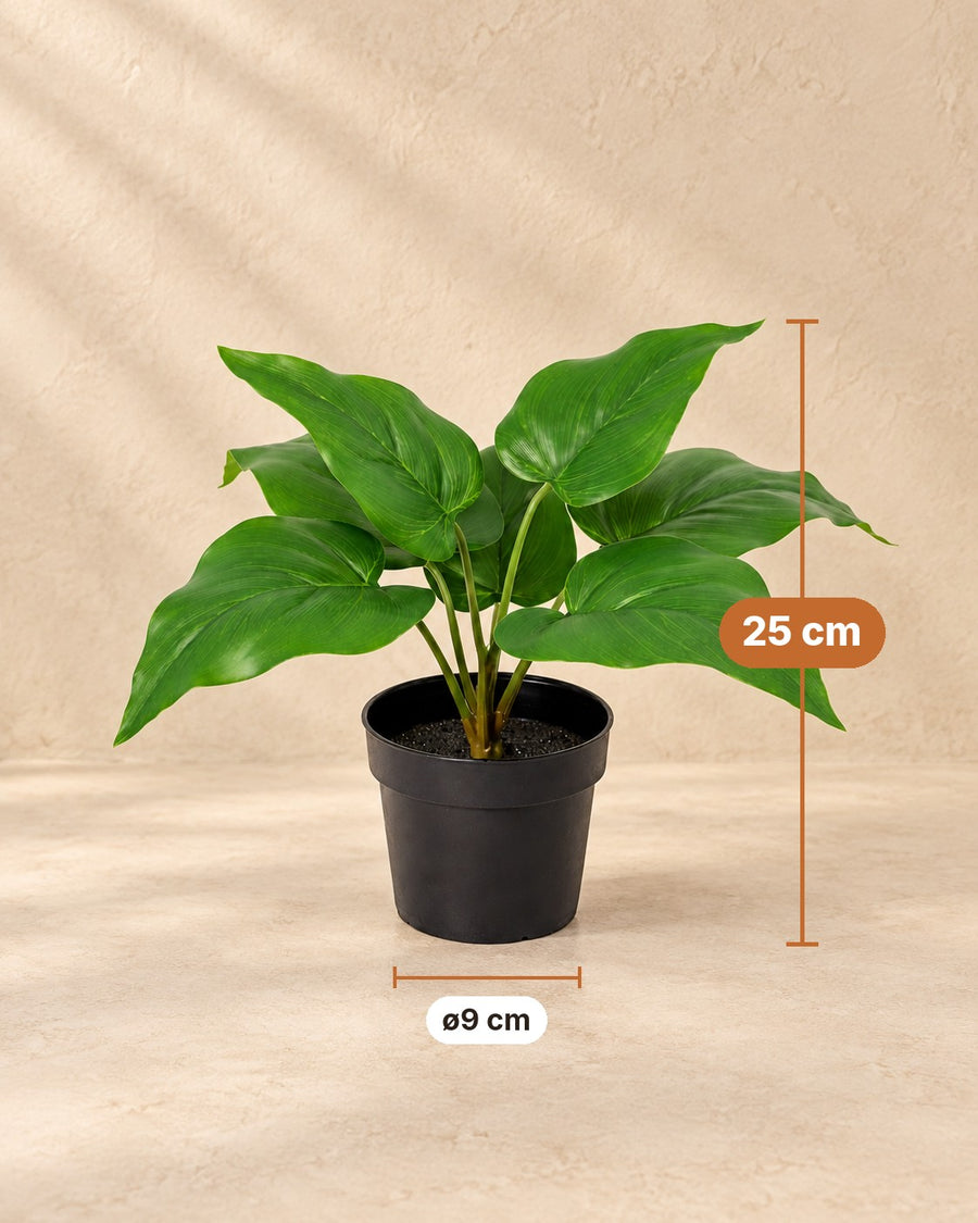 Kunstplant Philodendron Imperial Green 25cm - ø9