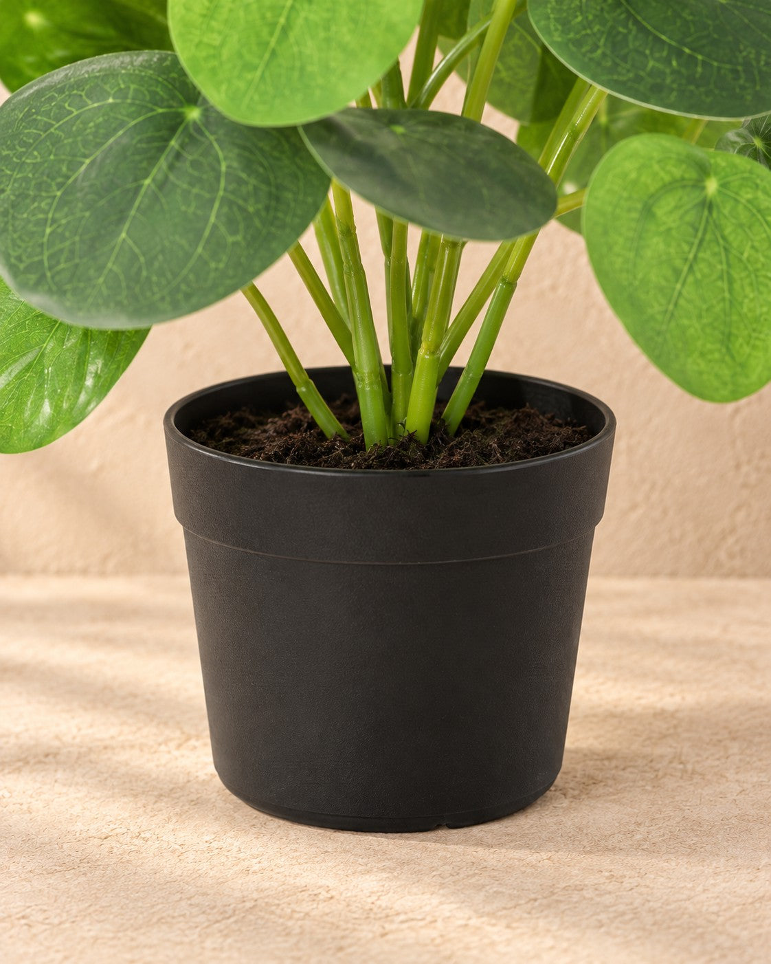 Onderste deel van de Kunstplant Pilea Peperomioides met de pot