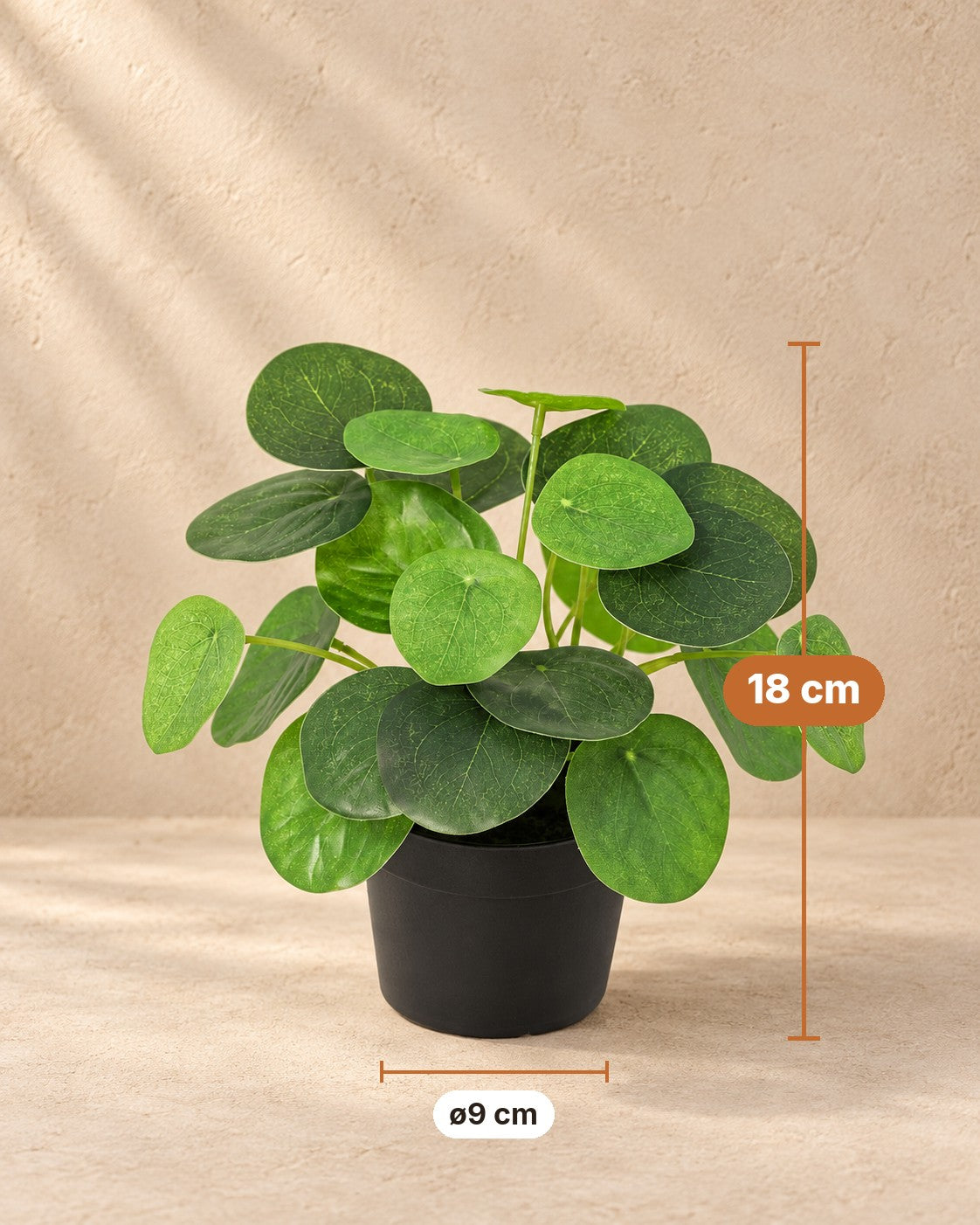 Afmetingen Kunstplant Pilea Peperomioides: 18 cm hoog, pot ø9 cm