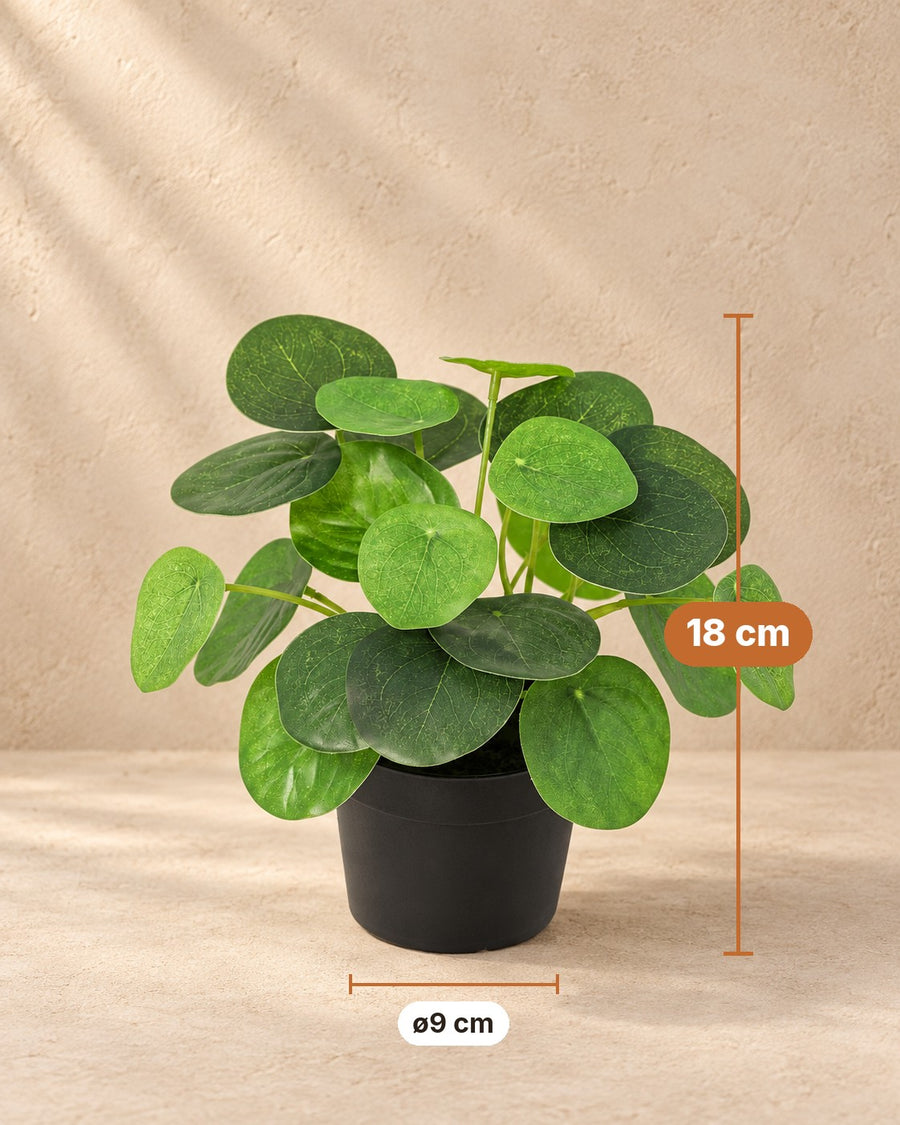 Kunstplant Pilea Peperomioides 18cm - ø9