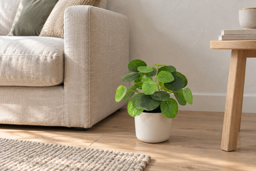 Kunstplant Pilea Peperomioides 18cm - ø9