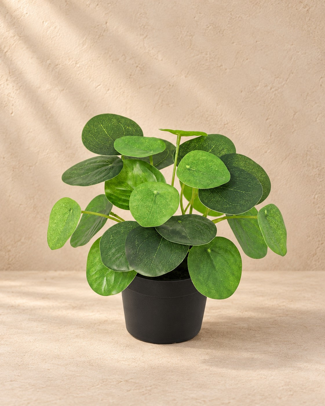 Pilea peperomioides artificial, 18 cm de altura en maceta de 9 cm