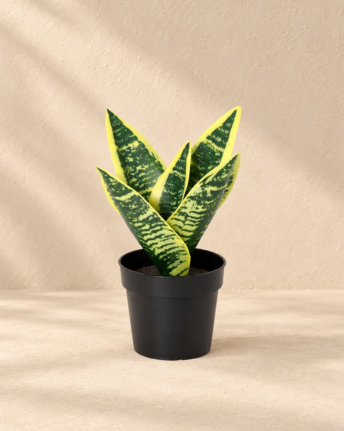 Sztuczna roślina Sansevieria Laurentii (Sansevieria trifasciata 'Laurentii'), wysokość 21 cm, w doniczce 9 cm
