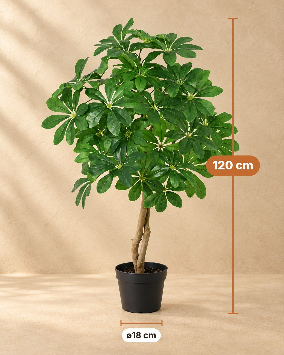 Afmetingen Kunstplant Schefflera Arboricola: 120 cm hoog, pot ø18 cm