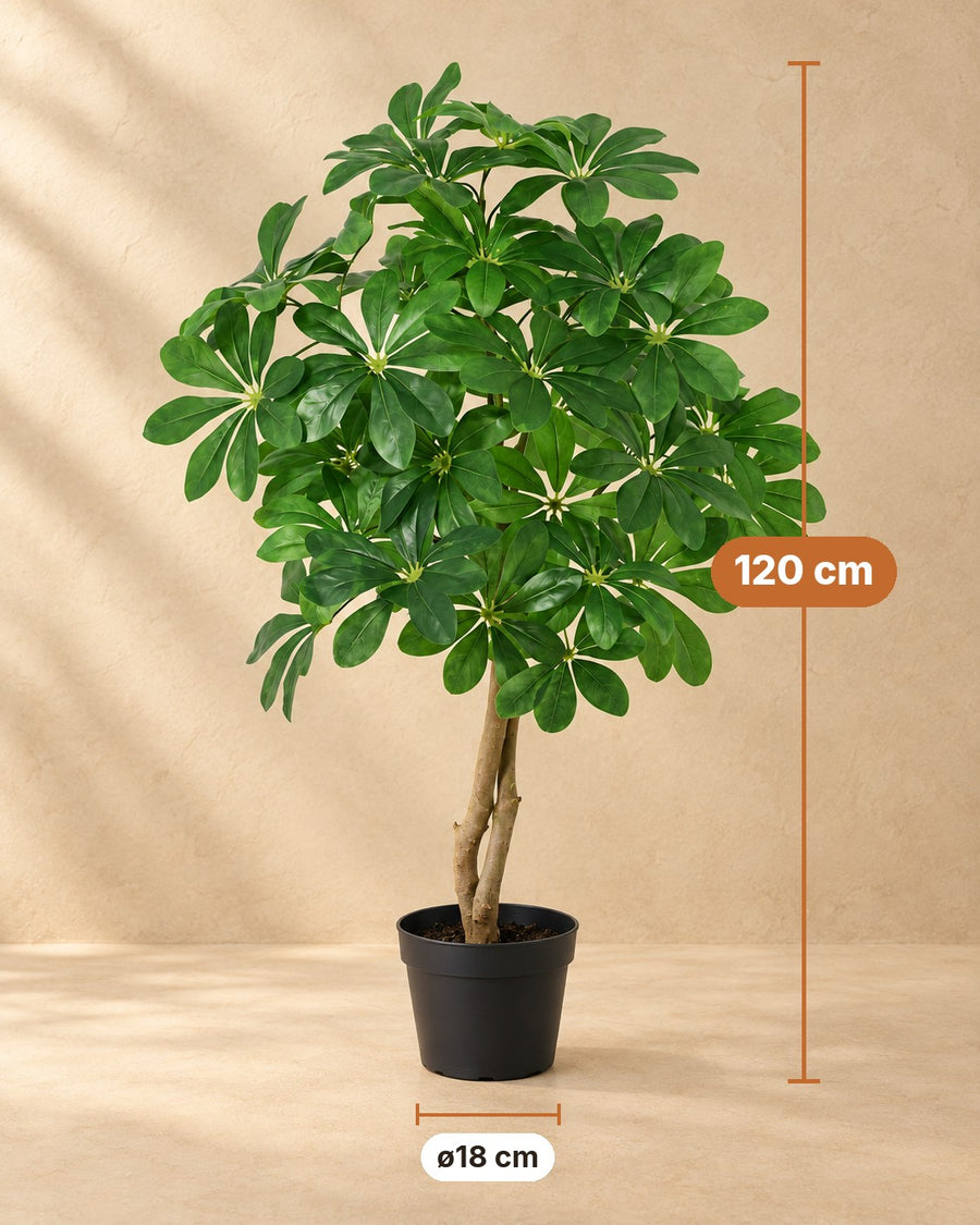 Kunstplant Schefflera Arboricola 120cm - ø18