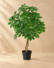 Kunstplant Schefflera Arboricola van 120 cm hoog in pot van 18 cm