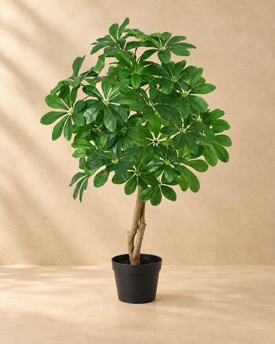 Kunstplant Schefflera Arboricola van 120 cm hoog in pot van 18 cm