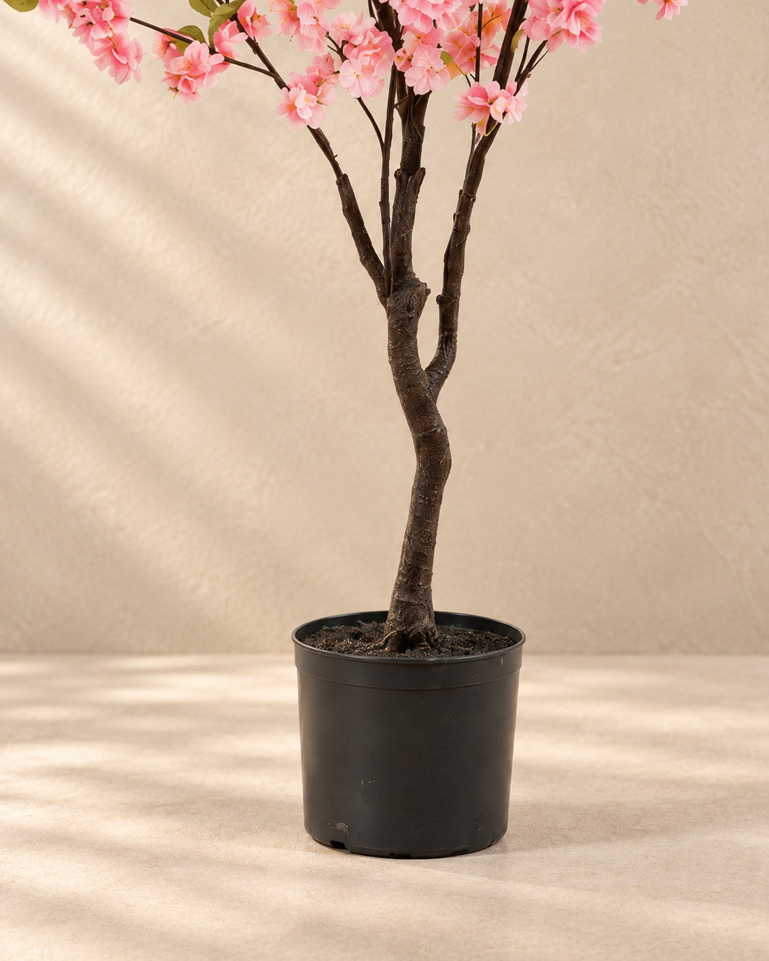 Partie basse de Cerisier d'ornement artificiel (Prunus sp.) avec son pot