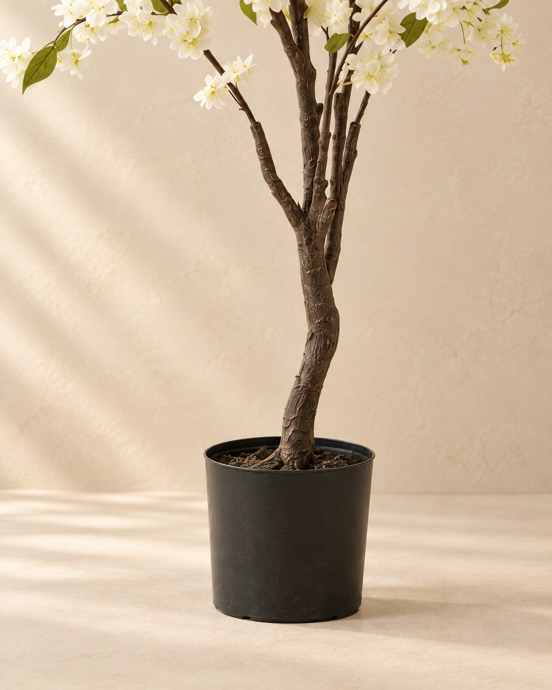 Onderste deel van de Kunstplant sierkers (Prunus sp.) met de pot