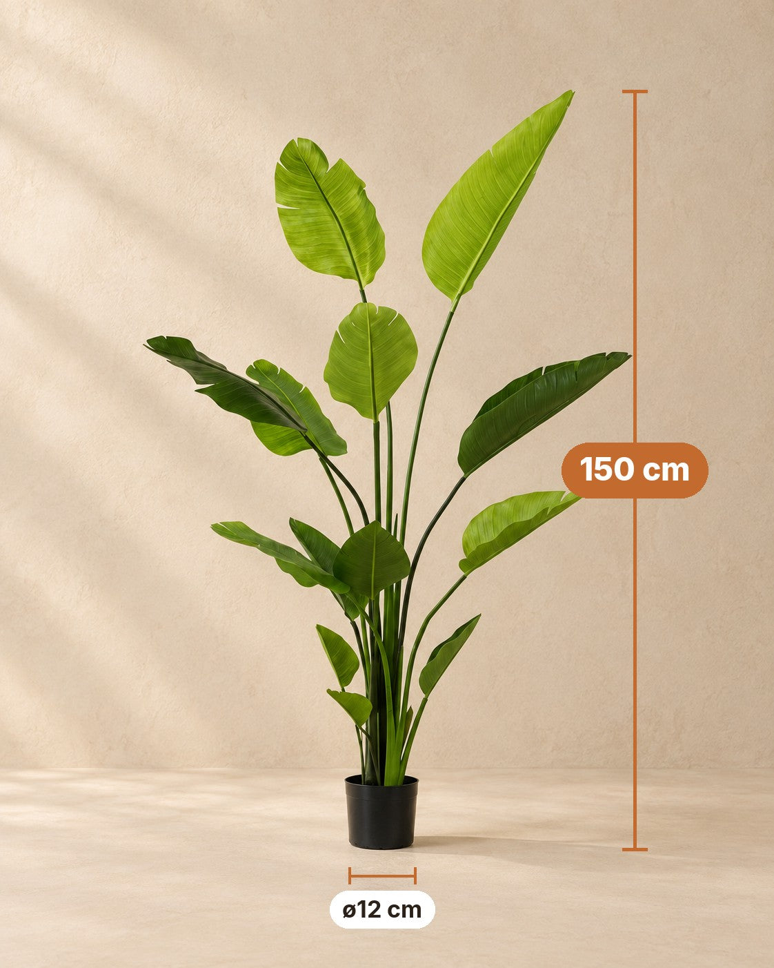 Dimensions Plante artificielle Strelitzia nicolai : 150 cm de haut, pot ø12 cm