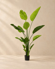 Plante artificielle Strelitzia nicolai, 150 cm de haut en pot de 12 cm