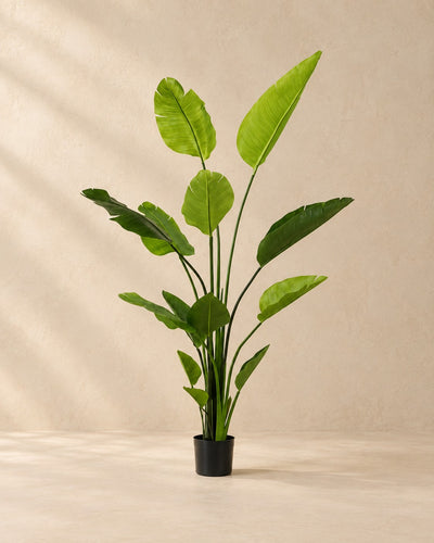 Plante artificielle Strelitzia nicolai, 150 cm de haut en pot de 12 cm