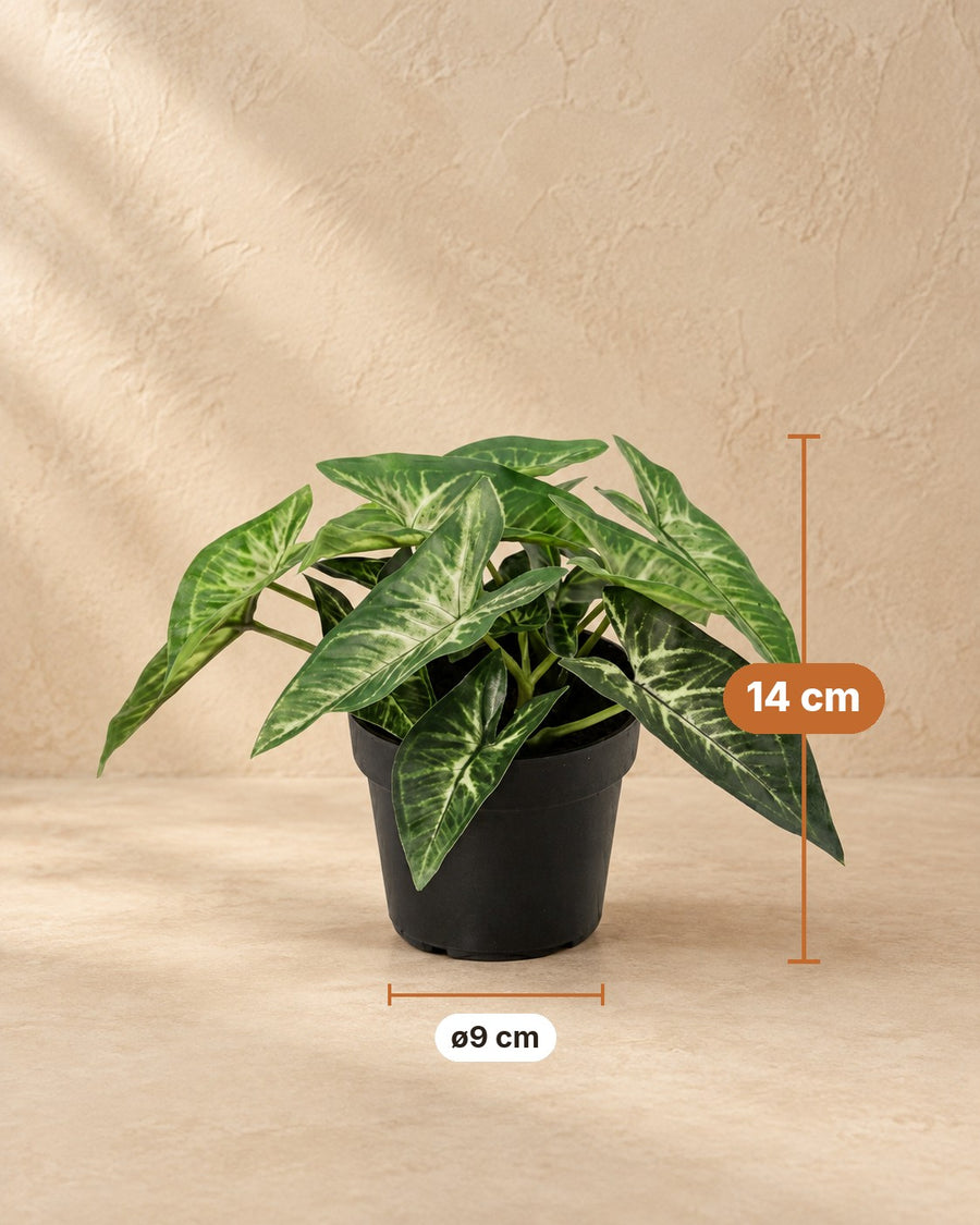 Kunstplant Syngonium 15cm - ø9