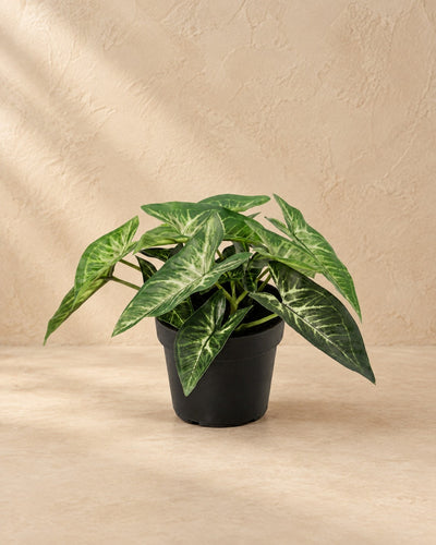 Kunstplant Syngonium (Syngonium podophyllum) van 14 cm hoog in pot van 9 cm
