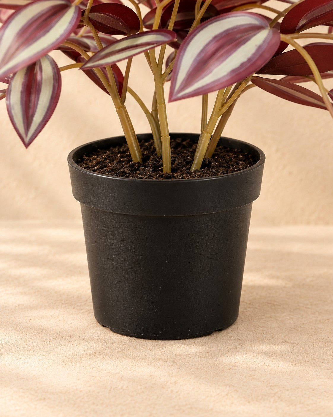 Onderste deel van de Kunstplant Tradescantia (Tradescantia sp.) met de pot