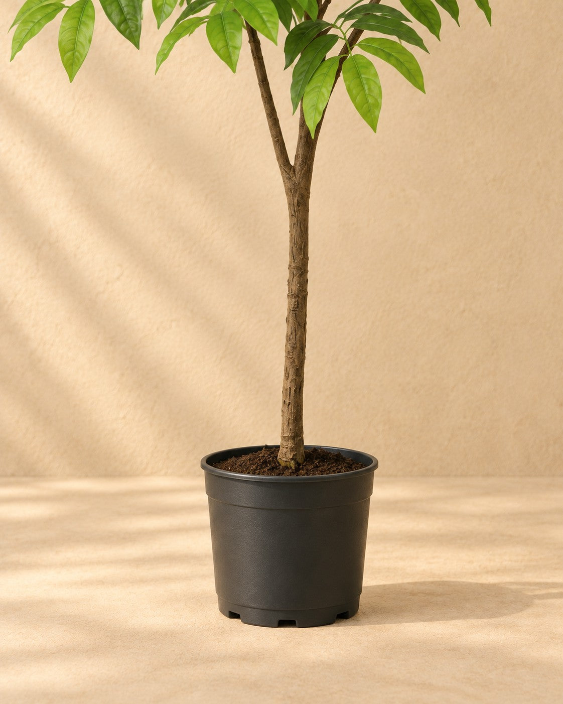 Onderste deel van de Kunstplant Tropische plant inclusief witte pot met de pot
