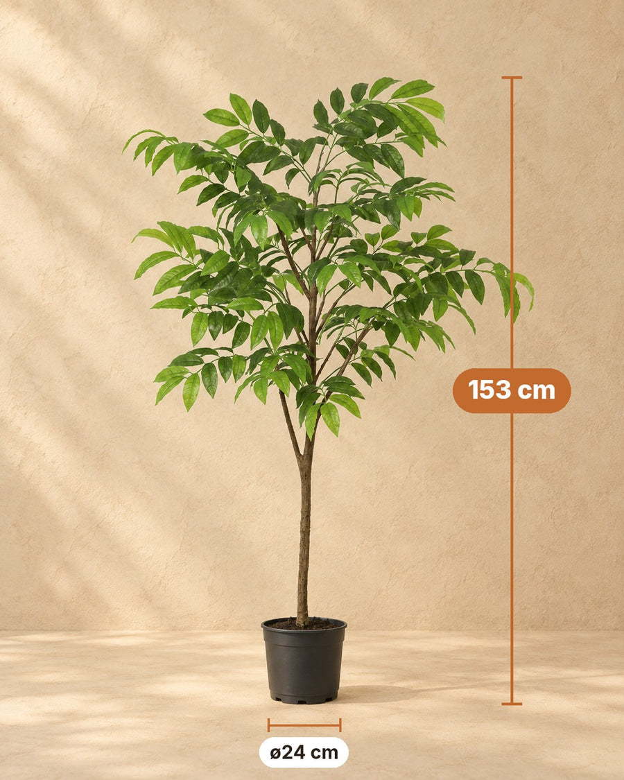 Kunstplant Tropische plant inclusief witte pot 153cm - ø24