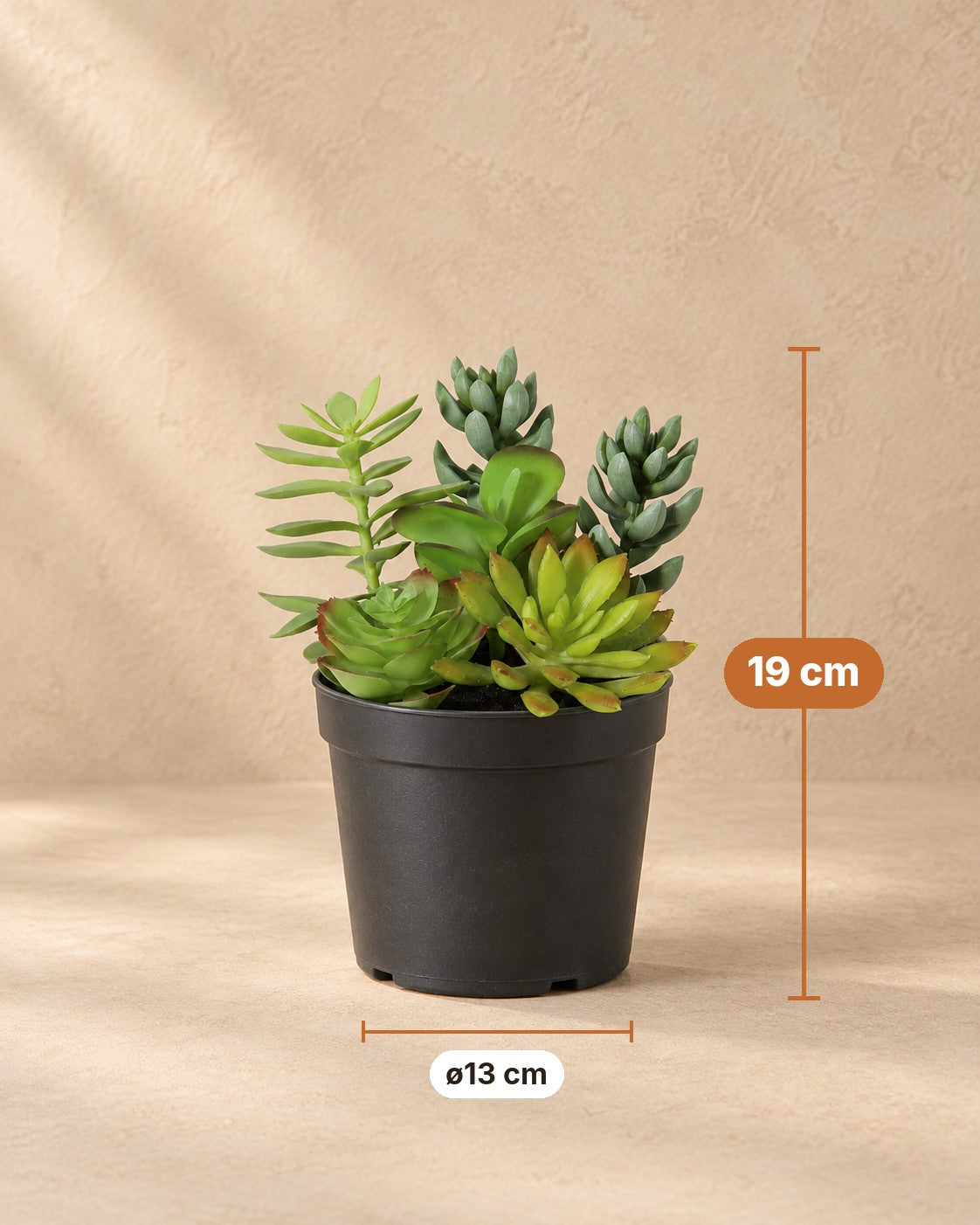 Afmetingen Kunstplant Vetplant inclusief witte pot: 19 cm hoog, pot ø13 cm