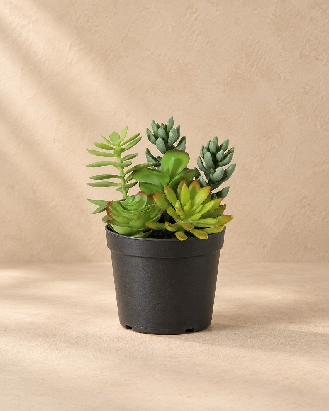 Kunstplant Vetplant inclusief witte pot van 19 cm hoog in pot van 13 cm