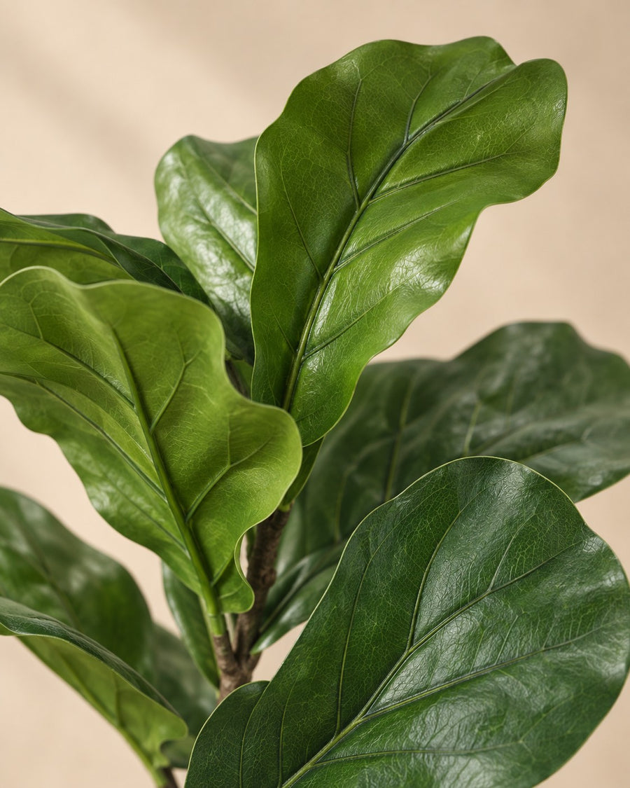 Kunstplant vioolbladplant (Ficus lyrata) 90 cm hoog, pot ø12 cm