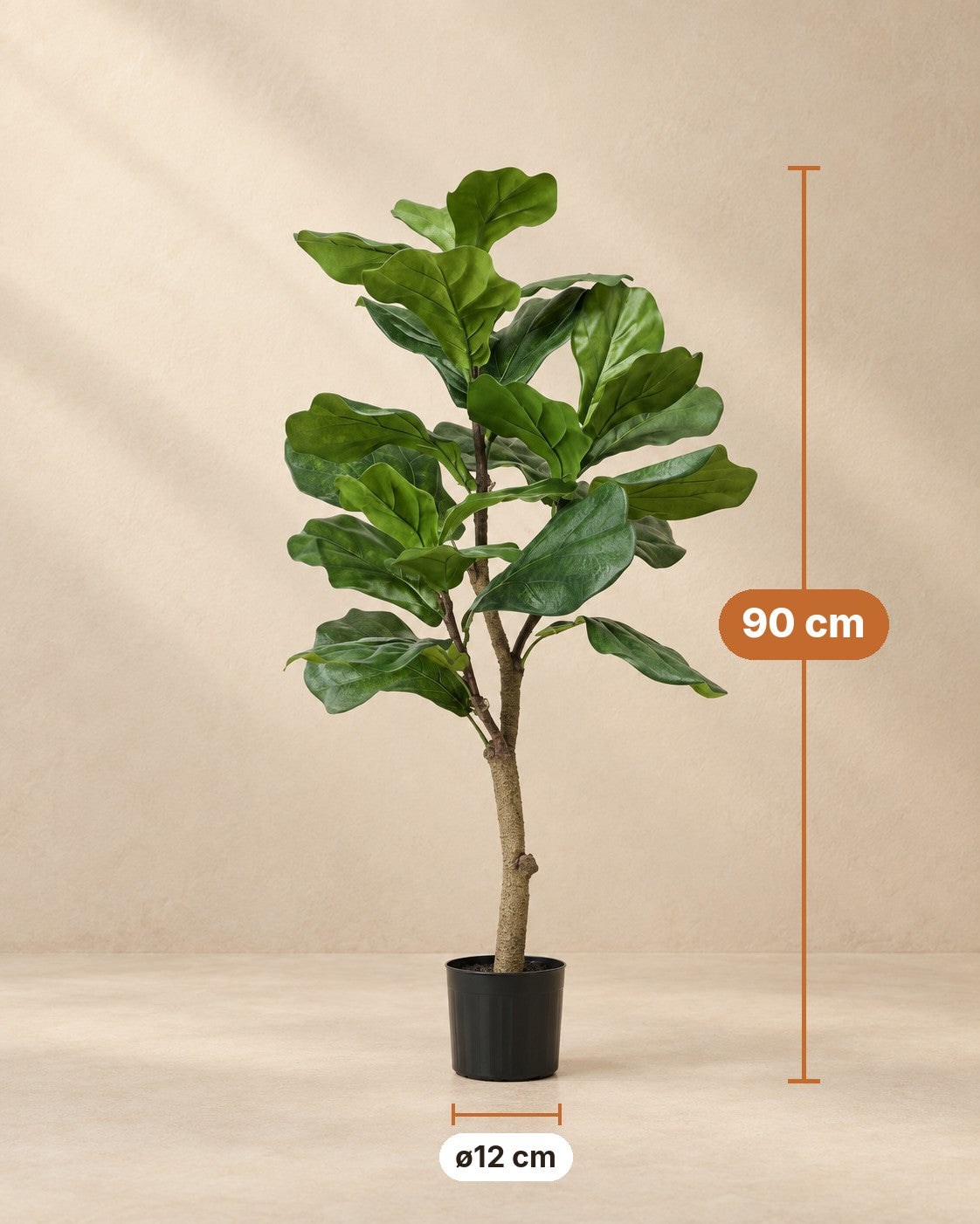 Afmetingen Kunstplant vioolbladplant: 90 cm hoog, pot ø12 cm